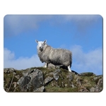 Picture of Herdwick Sheep on the hill placemat