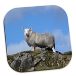 Picture of Herdwick Sheep on the hill placemat