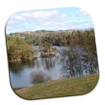 Picture of Tarn Hows placemat