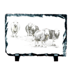 Picture of Herdwick Sheep slate coaster