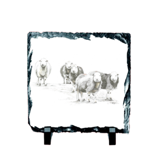 Picture of Herdwick Sheep slate coaster