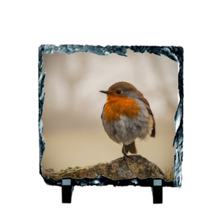 Picture of Robin Red Breast slate coaster