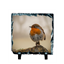 Picture of Robin Red Breast slate coaster