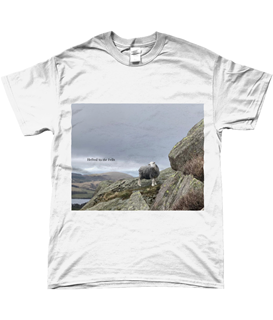 Picture of Hefted to the fells t shirt