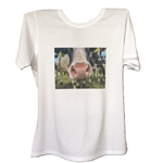 Picture of Nosey cow t -shirt